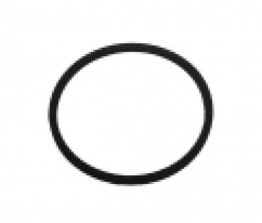 Schwimmerkammerdichtung Bing SRE 12-15mm Viton